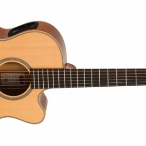TANGLEWOOD TGB4CE