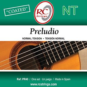 Stygos klasikinei gitarai ROYAL CLASSIC